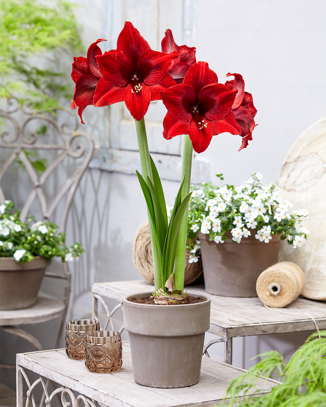 products/HISAN02.jpg