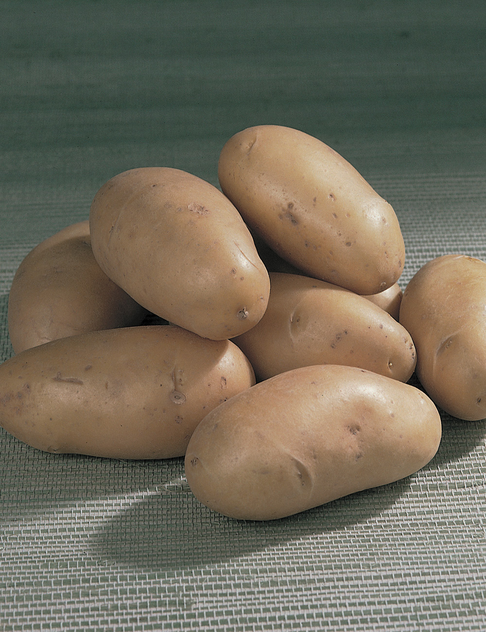 Potato Dutch Cream