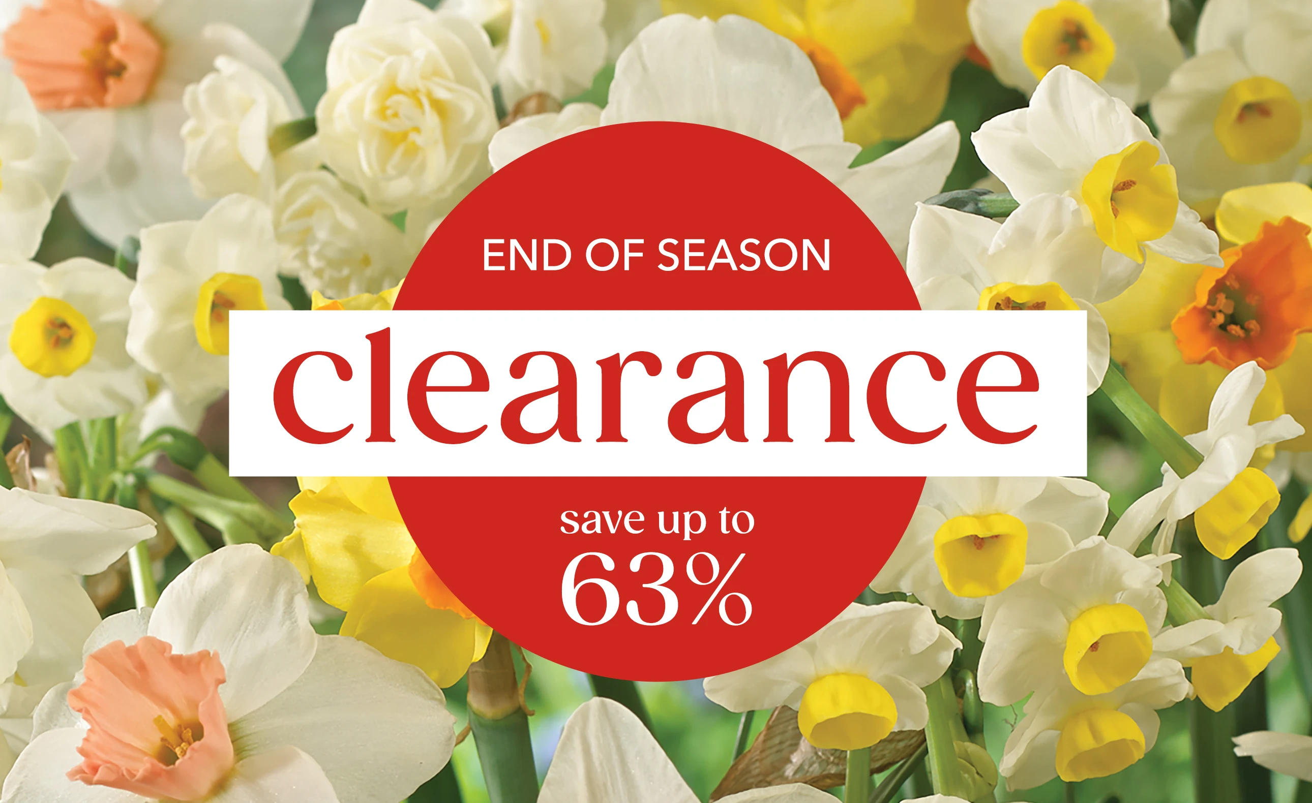 Clearance