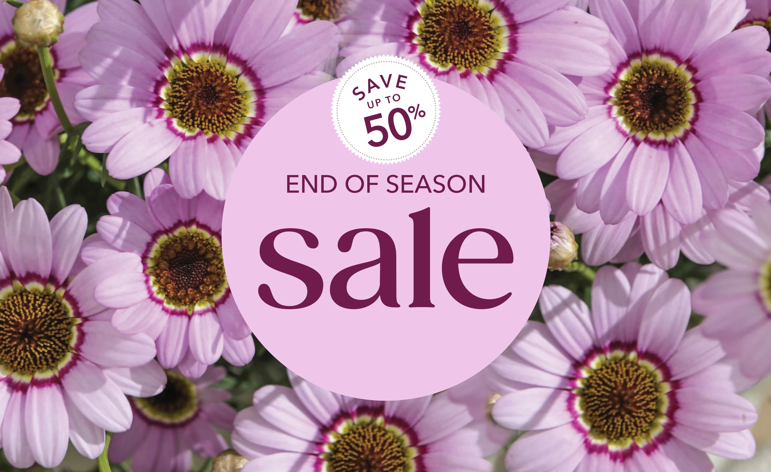 End of Season Sale