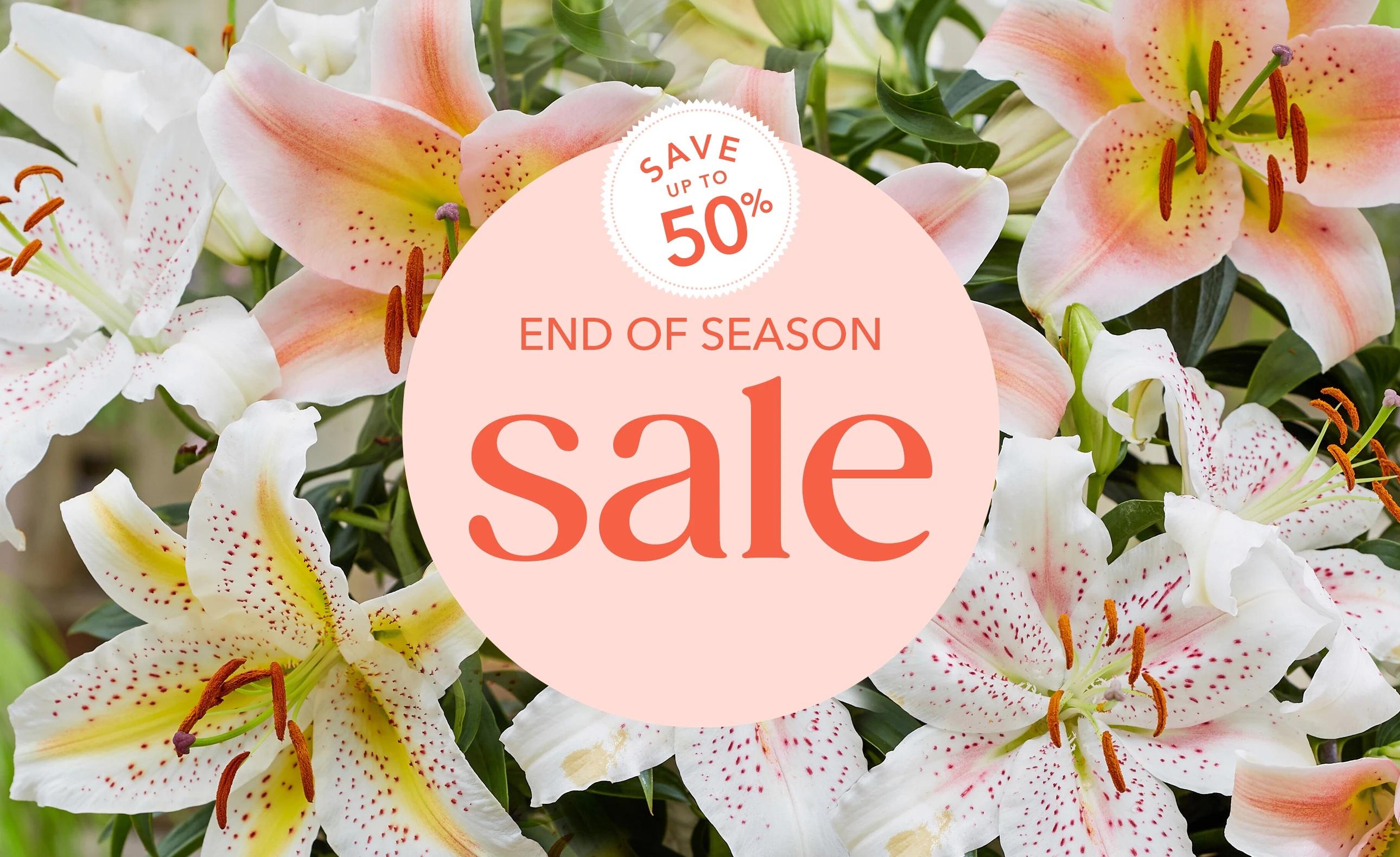 Sale